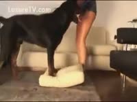 Bestiality XXX Film - Dog Dishes Out Doggy Style